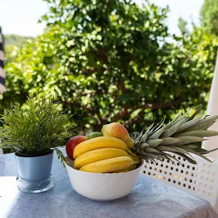 Solta Rogač