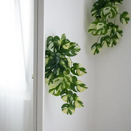 Solta Apartment