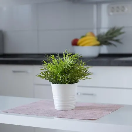 Апартаменты Solta