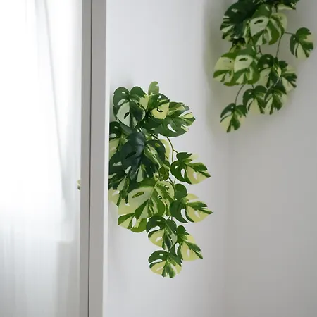 Solta Апартаменты